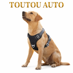 Harnais pour chien sans traction réfléchissant en nylon respirant